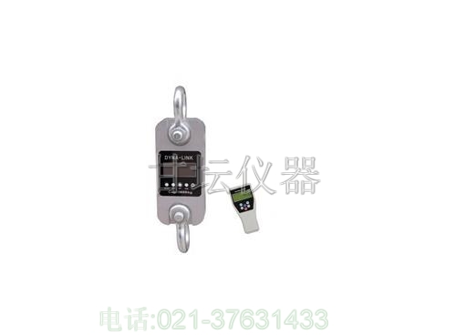 1噸碼頭專用測力計,1噸直視測力計,-廠家直銷