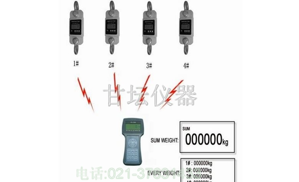 30T直視測力計,30T直視測力儀,30噸測力計